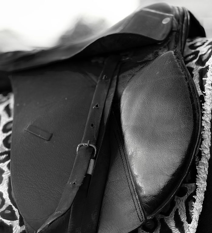 Detailed close-up of a black leather horse saddle in black and white, showcasing texture.