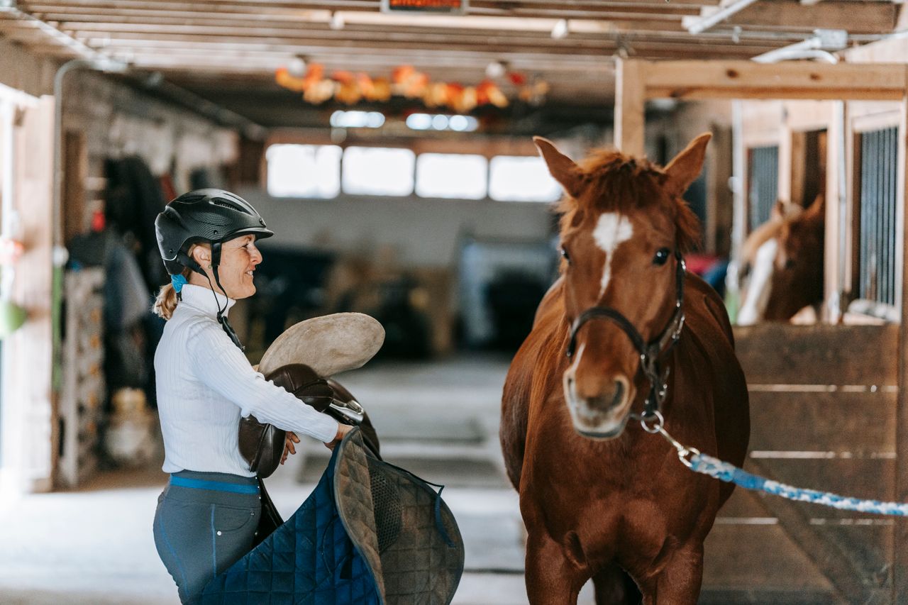 A woman with a helmet saddling a horse in an indoor stable setting.